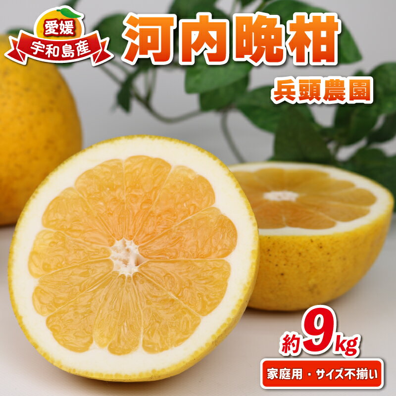 河内晩柑 9kg 愛媛みかん 兵頭農園 先行予約 家庭用 晩柑 かわちばんかん 和製 グレープフルーツ 愛媛蜜柑 果物 くだもの フルーツ 柑橘 みかん 蜜柑 mikan 産地直送 農家直送 数量限定 国産 愛媛 宇和島 B012-055009
