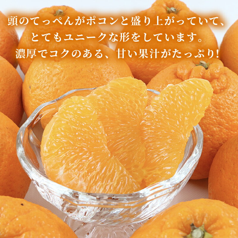 【ふるさと納税】 しらぬい 準 贈答用 不知火 5kg 矢野青果 先行予約 高級 希少 贅沢 限定 品種 ブランド 高級柑橘 甘い 果物 くだもの フルーツ 柑橘 みかん 蜜柑 愛媛蜜柑 愛媛みかん mikan 贈答 ギフト プレゼント 産地直送 数量限定 国産 愛媛 愛媛県 宇和島 B012-171018 サムネイル3