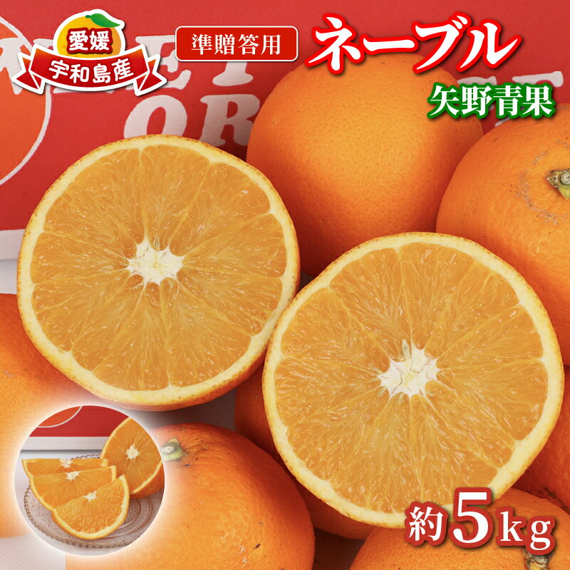 ネーブルオレンジ 5kg 準 贈答用 矢野青果 ネーブル オレンジ オレンジ みかん 柑橘 果物 くだもの フルーツ 濃厚 甘い 甘味 蜜柑 愛媛蜜柑 愛媛みかん mikan 贈答品 贈答 ギフト プレゼント 産地直送 農家直送 数量限定 国産 愛媛 宇和島 B012-171019
