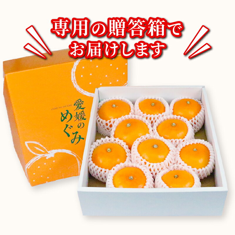 【ふるさと納税】 せとか 2 ~ 3kg 贈答用 矢野青果 柑橘の 大トロ 高級 希少 限定 品種 ブランド 高級柑橘 甘い 果物 くだもの フルーツ 柑橘 みかん 蜜柑 愛媛蜜柑 愛媛みかん mikan 贈答 ギフト プレゼント 産地直送 数量限定 国産 愛媛 愛媛県 宇和島 B012-171022 サムネイル3