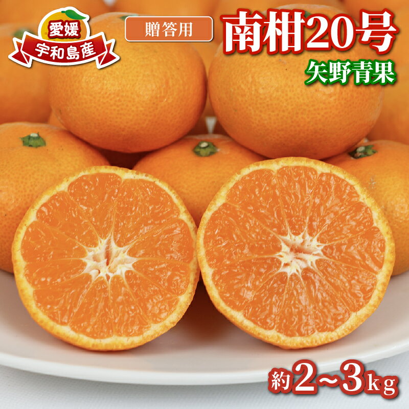 みかん 贈答用 南柑20号 温州みかん 2 ~ 3kg 矢野青果 フルーツ 柑橘 蜜柑 mikan 温州 果物 くだもの みかん 人気のみかん 美味しいみかん 濃厚みかん 温州蜜柑 贈答品 贈答 ギフト プレゼント 産地直送 数量限定 先行予約 国産 愛媛 宇和島 B012-171006