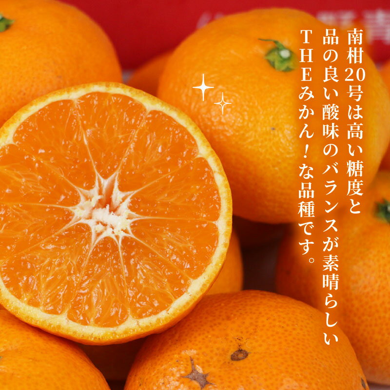 【ふるさと納税】 みかん 贈答用 南柑20号 温州みかん 2 ~ 3kg 矢野青果 フルーツ 柑橘 蜜柑 mikan 温州 果物 くだもの みかん 人気のみかん 美味しいみかん 濃厚みかん 温州蜜柑 贈答品 贈答 ギフト プレゼント 産地直送 数量限定 先行予約 国産 愛媛 宇和島 B012-171006 サムネイル3