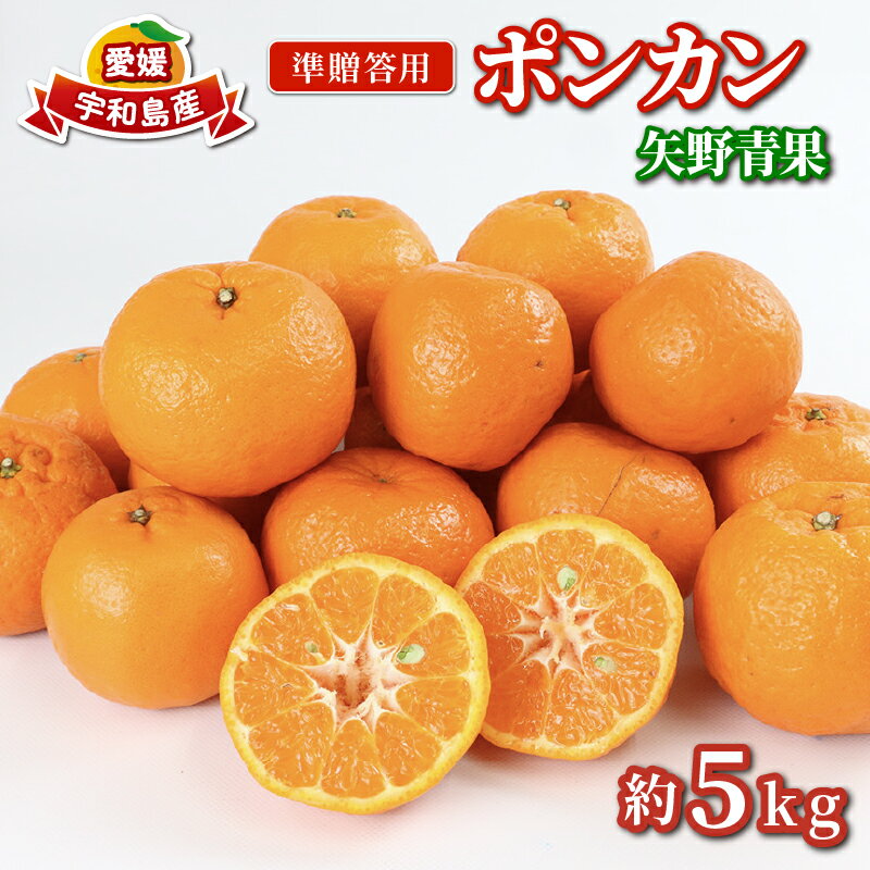 準 贈答用 ポンカン 5kg 矢野青果 みかん 先行予約 柑橘 果物 くだもの フルーツ ぽんかん 濃厚 甘い 甘味 蜜柑 美味しい 準贈答用 贈答品 贈答 ギフト プレゼント ミカン 愛媛みかん 愛媛県産みかん 産地直送 数量限定 国産 愛媛 宇和島 B012-171007