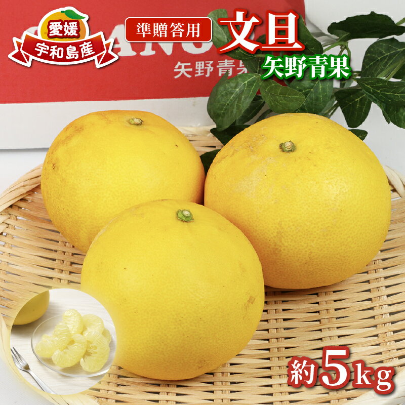準 贈答用 文旦 5kg 矢野青果 ザボン ぶんたん ボンタン ポメロ 果物 くだもの フルーツ 濃厚 甘い 甘味 さっぱり 酸味 蜜柑 準贈答用 贈答品 贈答 ギフト プレゼント 産地直送 農家直送 数量限定 国産 愛媛 宇和島 B012-171012