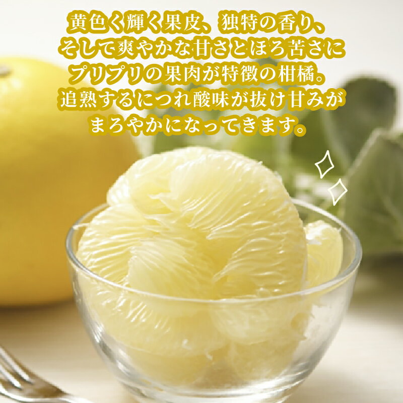 【ふるさと納税】 準 贈答用 文旦 5kg 矢野青果 ザボン ぶんたん ボンタン ポメロ 果物 くだもの フルーツ 濃厚 甘い 甘味 さっぱり 酸味 蜜柑 準贈答用 贈答品 贈答 ギフト プレゼント 産地直送 農家直送 数量限定 国産 愛媛 宇和島 B012-171012 サムネイル3