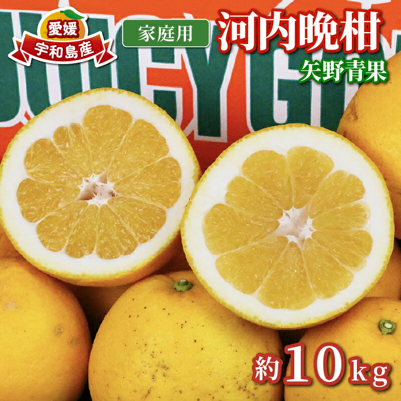 【2025年3月下旬～6月中旬発送】 河内晩柑 みかん 10kg 矢野青果 先行予約 家庭用 和製 グレープフルーツ 晩柑 かわちばんかん 果物 くだもの フルーツ 濃厚 甘い 甘味 さっぱり 酸味 蜜柑 産地直送 農家直送 数量限定 国産 愛媛 宇和島 B012-171013