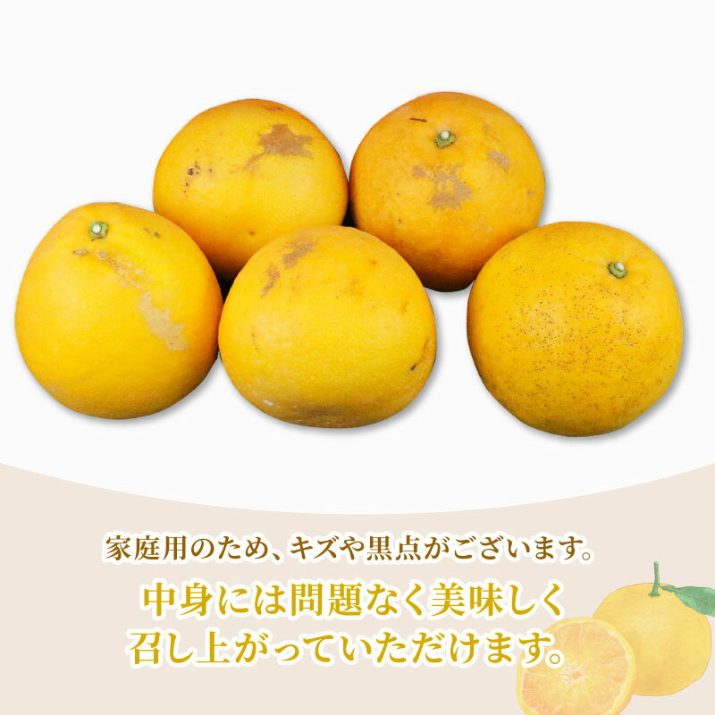 【ふるさと納税】 【2025年3月下旬～6月中旬発送】 河内晩柑 みかん 10kg 矢野青果 先行予約 家庭用 和製 グレープフルーツ 晩柑 かわちばんかん 果物 くだもの フルーツ 濃厚 甘い 甘味 さっぱり 酸味 蜜柑 産地直送 農家直送 数量限定 国産 愛媛 宇和島 B012-171013 サムネイル2