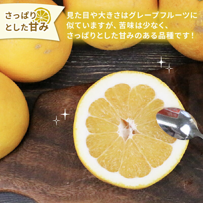 【ふるさと納税】 【2025年3月下旬～6月中旬発送】 河内晩柑 みかん 10kg 矢野青果 先行予約 家庭用 和製 グレープフルーツ 晩柑 かわちばんかん 果物 くだもの フルーツ 濃厚 甘い 甘味 さっぱり 酸味 蜜柑 産地直送 農家直送 数量限定 国産 愛媛 宇和島 B012-171013 サムネイル3