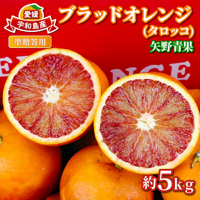 ブラッドオレンジ 準 贈答用 タロッコ 5kg 矢野青果 ミカン オレンジ みかん mikan 柑橘 果物 くだもの フルーツ 蜜柑 ジューシー 希少 アントシアニン 愛媛みかん 愛媛ミカン 愛媛県産 準贈答用 産地直送 農家直送 数量限定 国産 愛媛 宇和島 B012-171020