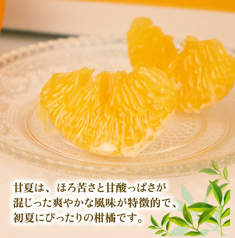 【ふるさと納税】 愛媛みかん 訳あり 甘夏 10kg まる玉農園 先行予約 わけあり 夏みかん 甘夏柑 あまなつ 愛媛ミカン 愛媛蜜柑 訳ありみかん 訳あり蜜柑 mikan 果物 くだもの フルーツ 柑橘 みかん 蜜柑 数量限定 産地直送 国産 愛媛 宇和島 B010-172005 サムネイル3