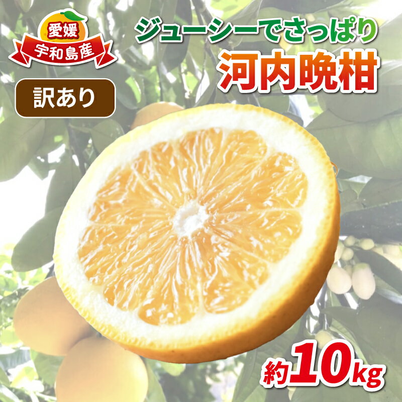 訳あり 河内晩柑 約10kg 協徳ガーデン 先行予約 訳アリ わけあり 訳あり品 晩柑 和製 グレープフルーツ 果物 フルーツ 柑橘 みかん ミカン 蜜柑 愛媛みかん 愛媛ミカン mikan 愛媛蜜柑 産地直送 農家直送 産地直送 数量限定 国産 愛媛 宇和島 B010-178007
