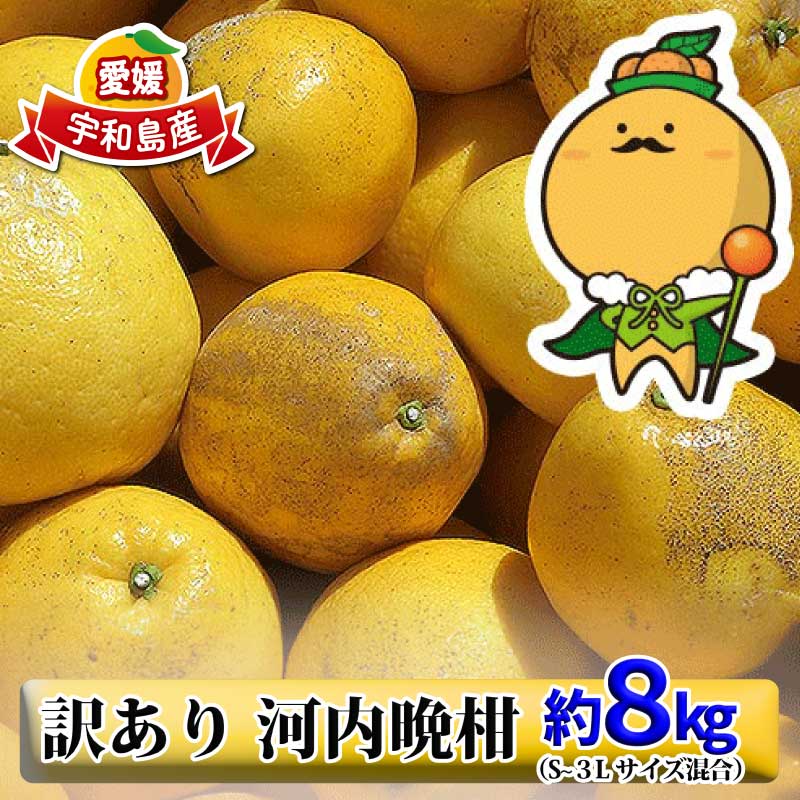 河内晩柑 訳あり 8kg S～3L サイズ 混合 中井屋 先行予約 愛媛みかん わけあり 晩柑 かわちばんかん 和製 グレープフルーツ 愛媛ミカン 愛媛蜜柑 愛媛県産みかん 蜜柑 みかん 果物 くだもの フルーツ 柑橘 数量限定 産地直送 国産 愛媛 宇和島 B010-173006