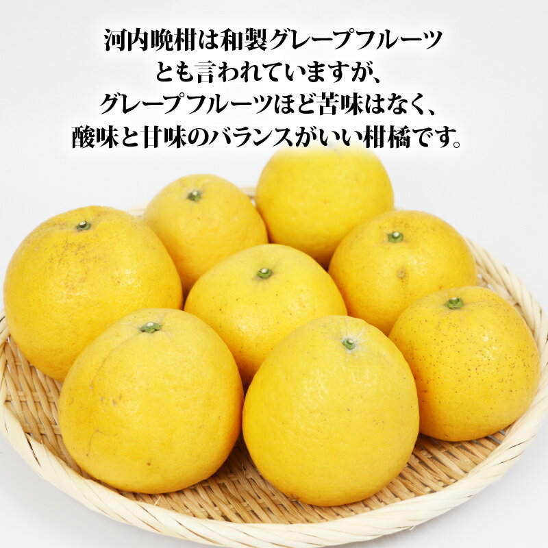 【ふるさと納税】 河内晩柑 家庭用 10kg 高須賀農園 先行予約 晩柑 かわちばんかん 和製 グレープフルーツ 果物 フルーツ 柑橘 みかん 蜜柑 農家直送 産地直送 数量限定 国産 愛媛 宇和島 B012-179001 サムネイル2