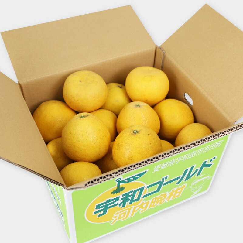 【ふるさと納税】 河内晩柑 家庭用 10kg 高須賀農園 先行予約 晩柑 かわちばんかん 和製 グレープフルーツ 果物 フルーツ 柑橘 みかん 蜜柑 農家直送 産地直送 数量限定 国産 愛媛 宇和島 B012-179001 サムネイル3