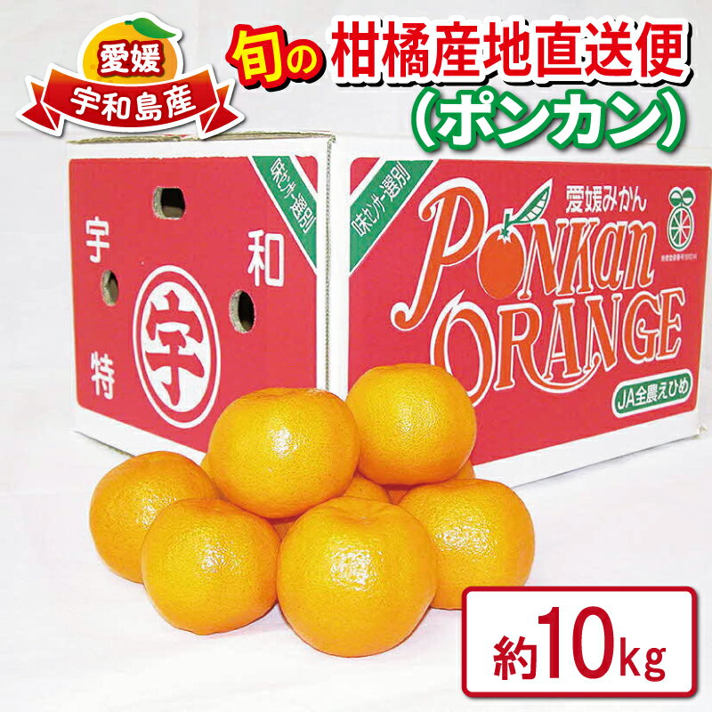 ポンカン 愛媛みかん 秀品 10kg えひめ南農業協同組合直販センター JA 先行予約 みかん mikan 甘い コク ジューシー 酸味 美味しい 産直 ぽんかん ミカン 蜜柑 果物 フルーツ 愛媛ミカン 柑橘 農家直送 産地直送 数量限定 国産 愛媛 宇和島 B020-009003