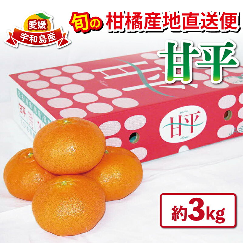 甘平 みかん 高級柑橘 優品 3kg 先行予約 えひめ南農業協同組合直販センター JA かんぺい 高級 希少 ブランド 品種 甘い mikan 蜜柑 果物 くだもの フルーツ 愛媛ミカン 愛媛蜜柑 愛媛みかん 柑橘 産地直送 送料無料 数量限定 国産 愛媛 宇和島 B020-009004
