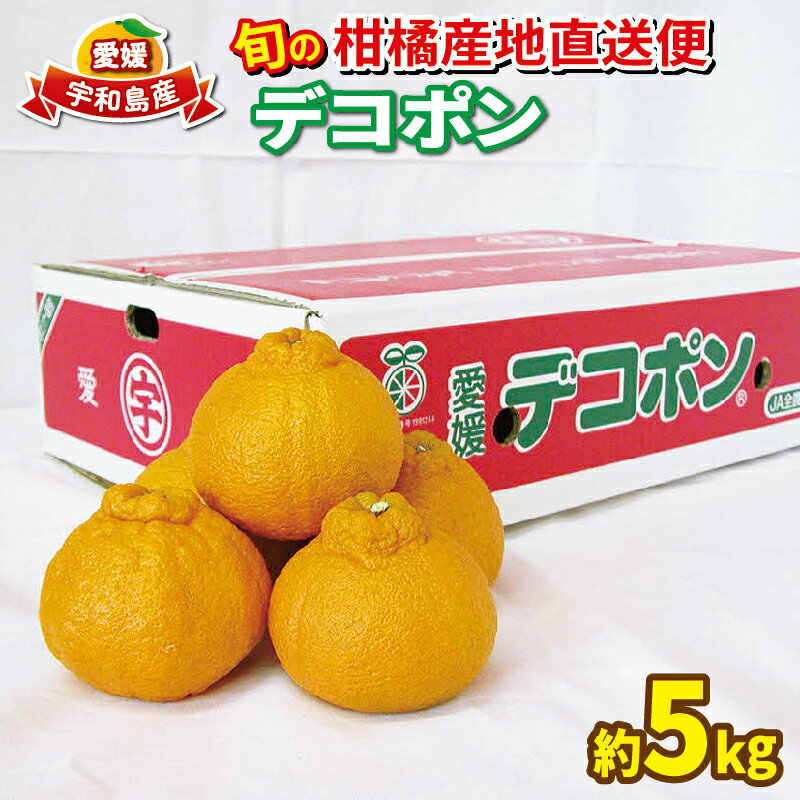 しらぬい 不知火 秀品 5kg 先行予約 えひめ南農業協同組合直販センター JA デコポン でこぽん 高級柑橘 しらぬひ デコ ミカン 高級 mikan 蜜柑 みかん 柑橘 果物 フルーツ 愛媛ミカン 愛媛蜜柑 愛媛みかん 産地直送 数量限定 国産 愛媛 宇和島 B020-009005