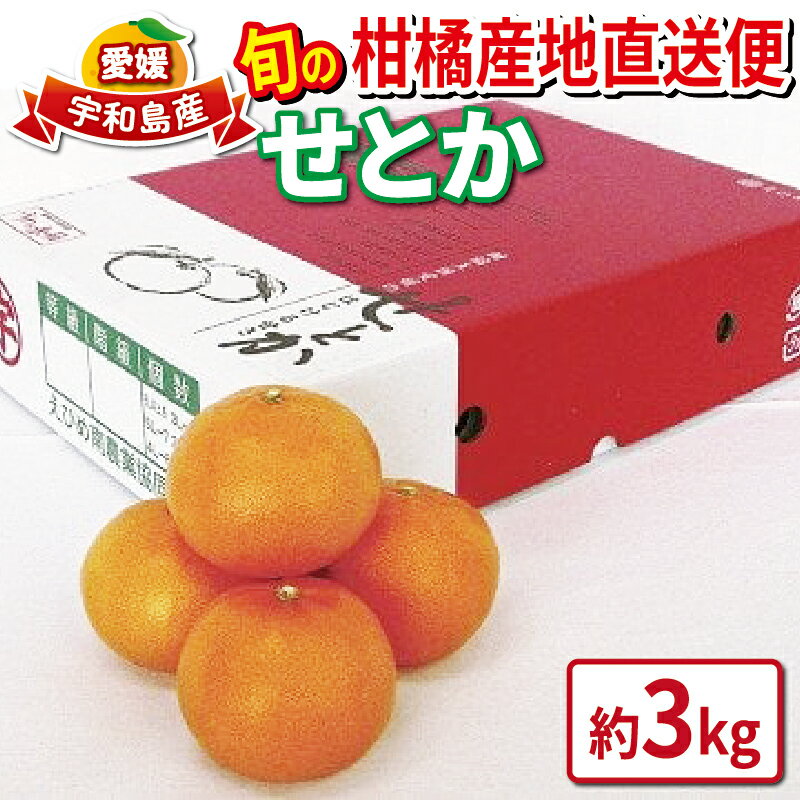 みかん せとか 高級柑橘 秀品 3kg 先行予約 えひめ南農業協同組合直販センター JA 柑橘 の 大トロ 果物 フルーツ 愛媛ミカン 愛媛蜜柑 愛媛みかん 高級 ブランド ミカン mikan セトカ お取り寄せ 産地直送 送料無料 数量限定 国産 愛媛 宇和島 B020-009006