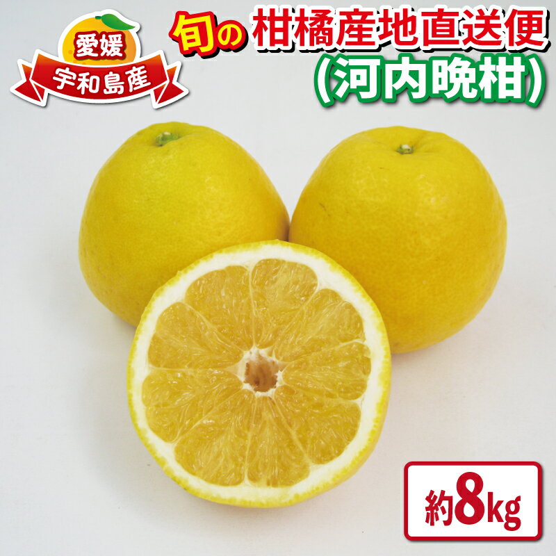 愛媛みかん 河内晩柑 8kg えひめ南農業協同組合直販センター JA 先行予約 晩柑 かわちばんかん 和製 グレープフルーツ 蜜柑 みかん mikan 果物 くだもの フルーツ 柑橘 愛媛蜜柑 農家直送 産地直送 数量限定 国産 愛媛 宇和島 B020-009008