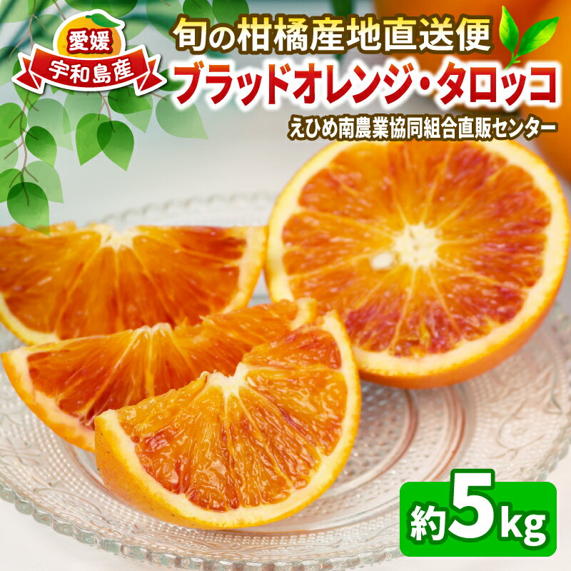 ブラッドオレンジ タロッコ 5kg 秀品 えひめ南農業協同組合直販センター JA 先行予約 オレンジ ブラッド 蜜柑 みかん mikan 果物 くだもの フルーツ 愛媛ミカン 愛媛蜜柑 愛媛みかん 柑橘 農家直送 産地直送 数量限定 国産 愛媛 宇和島 B020-009007