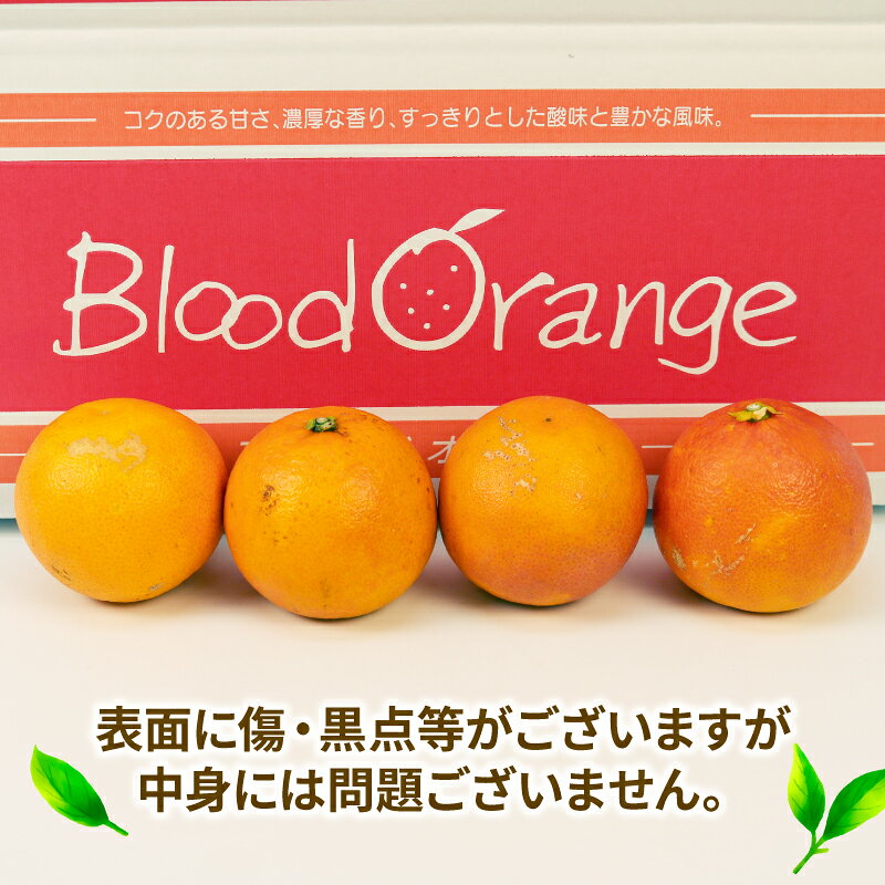 【ふるさと納税】 ブラッドオレンジ タロッコ 5kg 秀品 えひめ南農業協同組合直販センター JA 先行予約 オレンジ ブラッド 蜜柑 みかん mikan 果物 くだもの フルーツ 愛媛ミカン 愛媛蜜柑 愛媛みかん 柑橘 農家直送 産地直送 数量限定 国産 愛媛 宇和島 B020-009007 サムネイル2