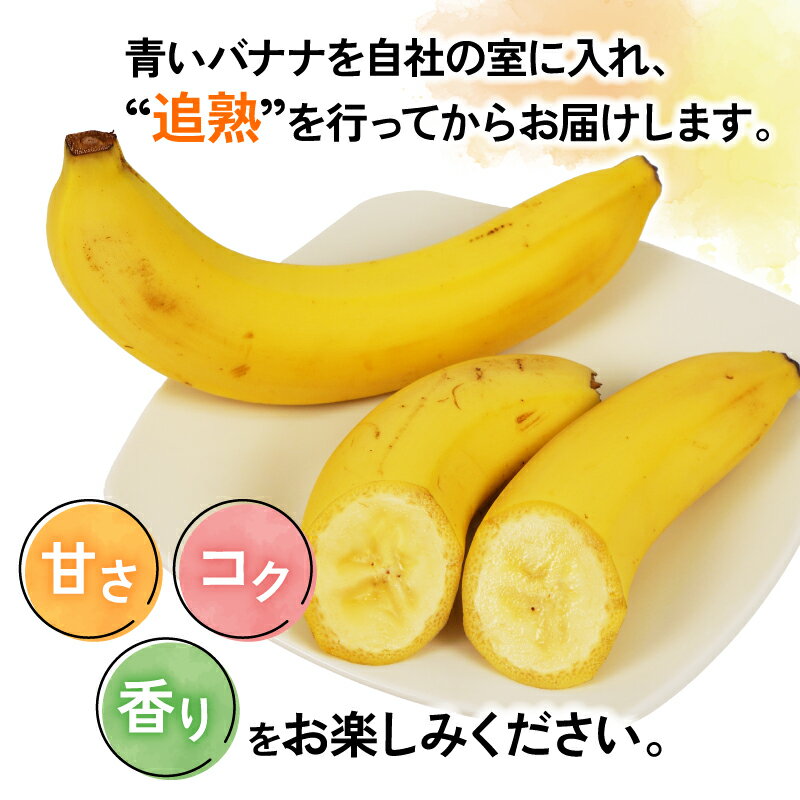 【ふるさと納税】 バナナ 熟サンテーラバナナ 計 約3kg ( 600g以上 × 5袋 ) 徳田青果 果物 くだもの フルーツ ばなな トロピカルフルーツ 南国フルーツ 熟成バナナ 甘い コク 香り 希少 朝食 おやつ スムージー 簡単 お取り寄せ 愛媛 宇和島 F010-194001 サムネイル2