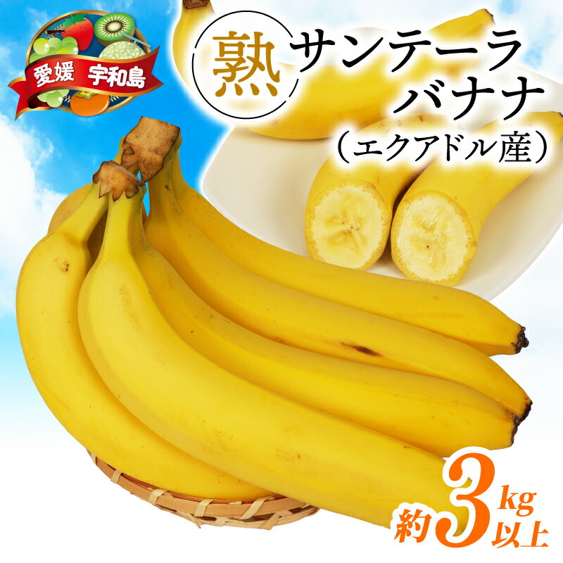 バナナ 熟サンテーラバナナ 計 約3kg ( 600g以上 × 5袋 ) 徳田青果 果物 くだもの フルーツ ばなな トロピカルフルーツ 南国フルーツ 熟成バナナ 甘い コク 香り 希少 朝食 おやつ スムージー 簡単 お取り寄せ 愛媛 宇和島 F010-194001