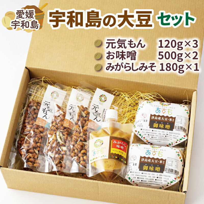 ＼10営業日以内発送／ 豆菓子 計360g 麦味噌 計1kg みがらしみそ 180g 大豆 セット 企業組合 津島 あぐり工房 麦みそ 味噌 みそ 味噌汁 みそしる みそ汁 加工食品 miso 発酵 調味料 麦 麹 ちりめん 菓子 お菓子 おやつ 国産 愛媛 宇和島 J012-066001
