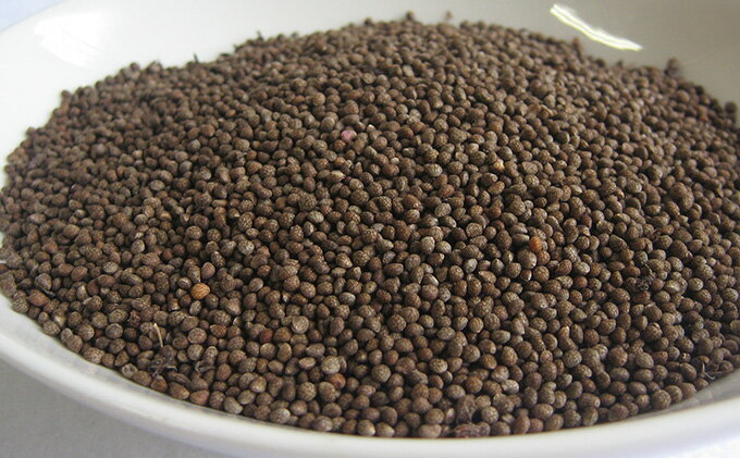 【ふるさと納税】 えごま油 生搾り 選べる 内容量 65g or 140g ×2本 手作り オイル 御槇米生産協議会 自家製 ごま油 えごま 100％ ピュアオイル オメガ3 油 調味料 調理油 加工品 数量限定 国産 愛媛 宇和島 サムネイル3
