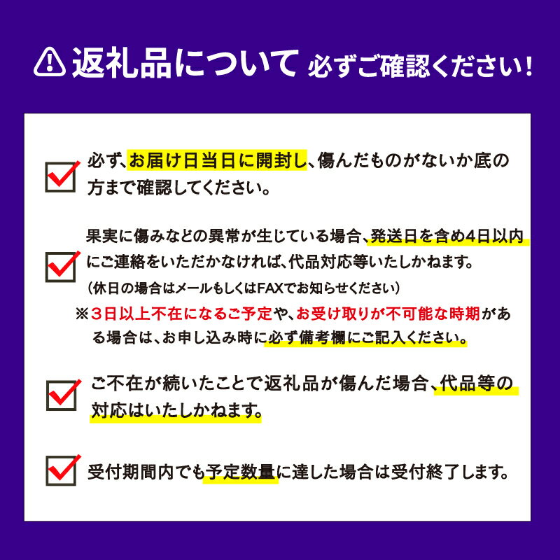 【ふるさと納税】 色鮮やか いちご 紅い雫 1.2kg ( 300g × 4パック ) 西田農園 甘い あまい 苺 イチゴ ストロベリー 旬 果物 朝食 ヨーグルト フルーツ デザート スイーツ スムージー ジャム おやつ 国産 愛媛 宇和島 F015-124002 サムネイル3