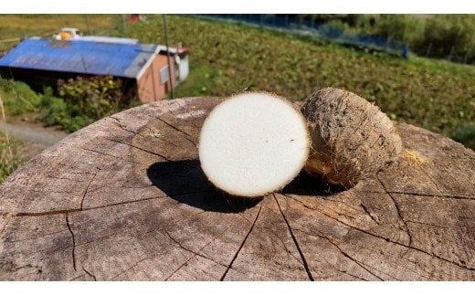 【ふるさと納税】 里芋 5.2kg さといも お芋 サイズ 不揃い 御槇米生産協議会 里いも 先行予約 愛媛県 オリジナル品種 有機肥料 使用 やさい 芋 いも 煮付け 芋炊き 芋煮 さと芋 ねっとり もちもち やわらか 野菜 農家直送 産地直送 数量限定 国産 愛媛 宇和島 F012-018001 サムネイル3