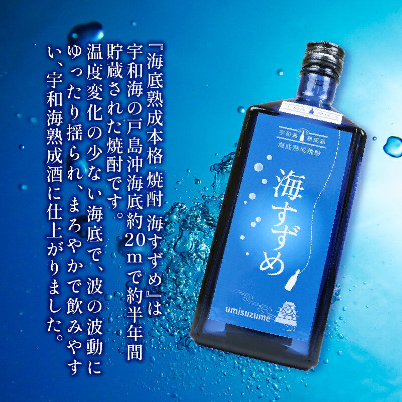 【ふるさと納税】 焼酎 海底熟成焼酎 海すずめ 720ml 1本 名門サカイ 海底 熟成 酒 お酒 本格焼酎 変わり種 アルコール ギフト 贈答 贈答用 贈答品 プレゼント 数量限定 国産 愛媛 宇和島 I015-085006 サムネイル2