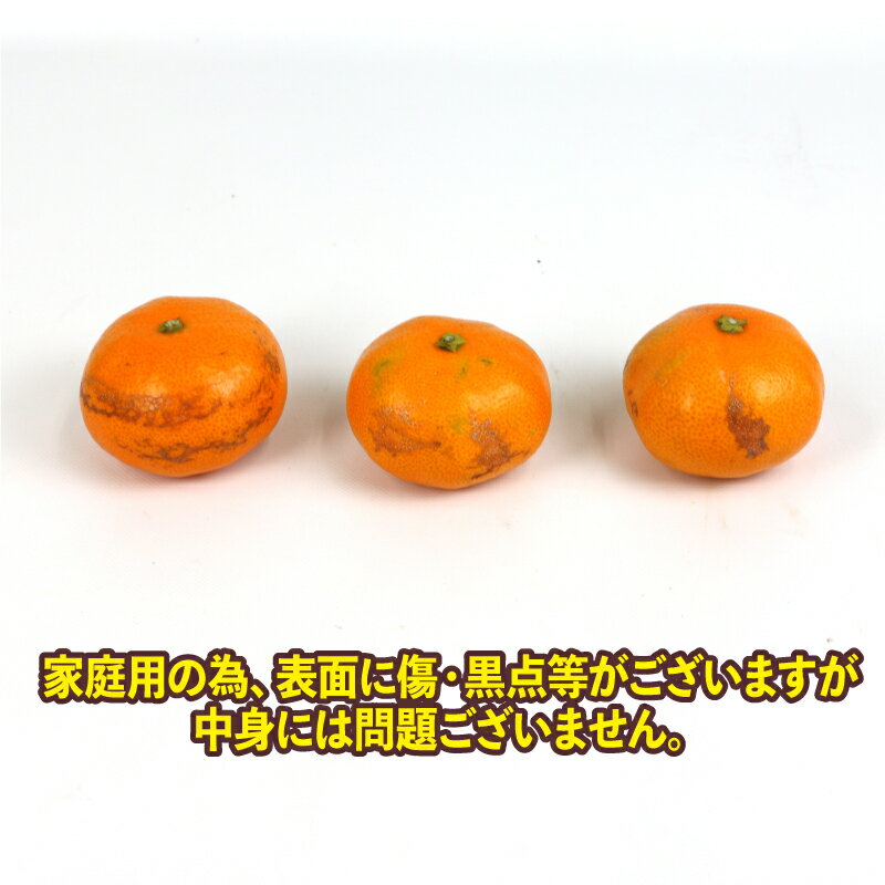 【ふるさと納税】 愛媛みかん 早生 温州 10kg S~2L サイズ ミックス 家庭用 上杉果樹園 先行予約 温州蜜柑 温州みかん mikan 愛媛ミカン 愛媛蜜柑 みかん ビタミン 温州 蜜柑 果物 くだもの フルーツ 柑橘 農家直送 産地直送 数量限定 国産 愛媛 宇和島 B012-056001 サムネイル2