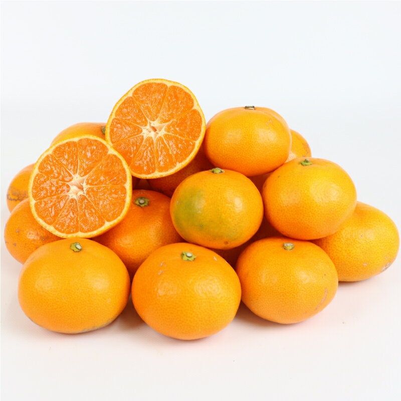 【ふるさと納税】 愛媛みかん 早生 温州 10kg S~2L サイズ ミックス 家庭用 上杉果樹園 先行予約 温州蜜柑 温州みかん mikan 愛媛ミカン 愛媛蜜柑 みかん ビタミン 温州 蜜柑 果物 くだもの フルーツ 柑橘 農家直送 産地直送 数量限定 国産 愛媛 宇和島 B012-056001 サムネイル3