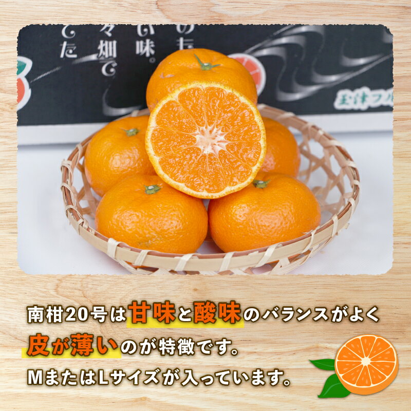 【ふるさと納税】 愛媛みかん 南柑20号 5kg MまたはL サイズ 上杉果樹園 先行予約 温州蜜柑 温州みかん 温州 mikan 愛媛ミカン 愛媛蜜柑 みかん ミカン 蜜柑 果物 フルーツ 柑橘 農家直送 産地直送 数量限定 国産 愛媛 愛媛産 宇和島 B010-056004 サムネイル2