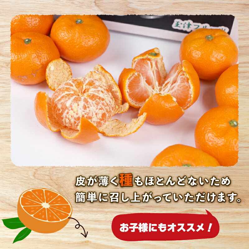 【ふるさと納税】 愛媛みかん 南柑20号 5kg MまたはL サイズ 上杉果樹園 先行予約 温州蜜柑 温州みかん 温州 mikan 愛媛ミカン 愛媛蜜柑 みかん ミカン 蜜柑 果物 フルーツ 柑橘 農家直送 産地直送 数量限定 国産 愛媛 愛媛産 宇和島 B010-056004 サムネイル3