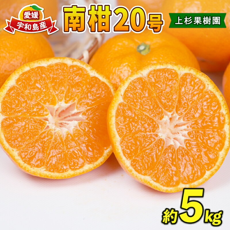 愛媛みかん 南柑20号 5kg MまたはL サイズ 上杉果樹園 先行予約 温州蜜柑 温州みかん 温州 mikan 愛媛ミカン 愛媛蜜柑 みかん ミカン 蜜柑 果物 フルーツ 柑橘 農家直送 産地直送 数量限定 国産 愛媛 愛媛産 宇和島 B010-056004