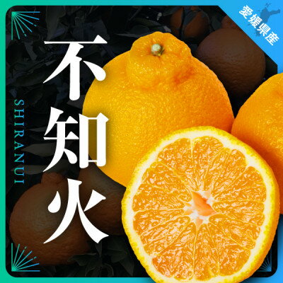 三代目がつくる不知火5kg【D31-3】_ ミカン 蜜柑 みかん しらぬい 柑橘 柑橘類 フルーツ 果物 くだもの 人気 美味しい 愛媛県 八幡浜市 ふるさと 【配送不可地域：離島】【1042518】