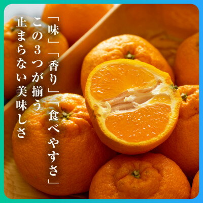 【ふるさと納税】三代目がつくる不知火5kg【D31-3】_ ミカン 蜜柑 みかん しらぬい 柑橘 柑橘類 フルーツ 果物 くだもの 人気 美味しい 愛媛県 八幡浜市 ふるさと 【配送不可地域：離島】【1042518】 サムネイル3