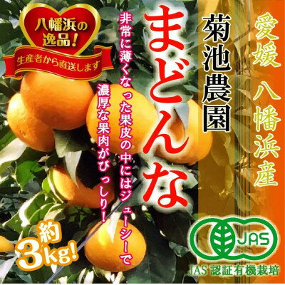 【JAS認証有機栽培】こんな柑橘初めてプルプル新食感「まどんな」約3kg【D39-25】【1044609】