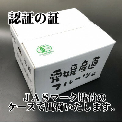 【ふるさと納税】【JAS認証有機栽培】こんな柑橘初めてプルプル新食感「まどんな」約3kg【D39-25】【1044609】 サムネイル3
