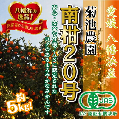 【JAS認証有機栽培】濃厚な味わいの温州みかん!!菊池農園「南柑20号」5kg【C39-23】_ みかん ミカン 柑橘 温州 果物 くだもの フルーツ 旬 愛媛 コク 甘み 国産 産直 産地直送 JAS 有機 有機栽培 JAS認証 果汁 ジューシー 【1044610】