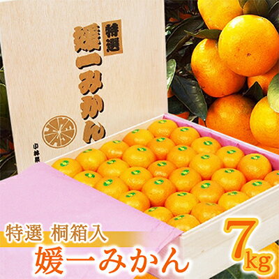 桐箱入り・媛一みかん(7kg)【G24-3】_ みかん ミカン 柑橘 フルーツ くだもの 果物 ふるーつ 青果 果実 甘い ジューシー 産直 産地直送 旬 柑橘類 人気 温州 桐箱 ブランド 愛媛 果汁 八幡浜市 【1045055】