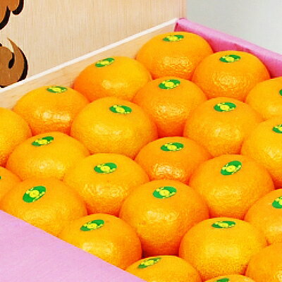 【ふるさと納税】桐箱入り・媛一みかん(7kg)【G24-3】_ みかん ミカン 柑橘 フルーツ くだもの 果物 ふるーつ 青果 果実 甘い ジューシー 産直 産地直送 旬 柑橘類 人気 温州 桐箱 ブランド 愛媛 果汁 八幡浜市 【1045055】 サムネイル2