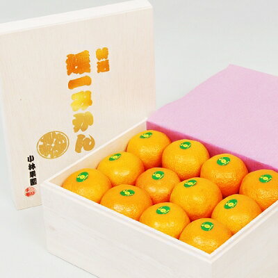 桐箱入り・媛一みかん(2.5kg)【D24-4】_ みかん ミカン 柑橘 フルーツ くだもの 果物 ふるーつ 青果 果実 甘い ジューシー 産直 産地直送 旬 柑橘類 人気 温州 桐箱 ブランド 愛媛 果汁 八幡浜市 【1045056】