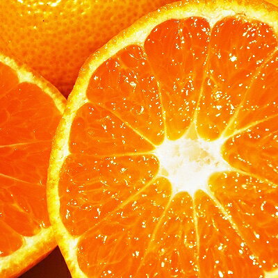 【ふるさと納税】桐箱入り・媛一みかん(2.5kg)【D24-4】_ みかん ミカン 柑橘 フルーツ くだもの 果物 ふるーつ 青果 果実 甘い ジューシー 産直 産地直送 旬 柑橘類 人気 温州 桐箱 ブランド 愛媛 果汁 八幡浜市 【1045056】 サムネイル2