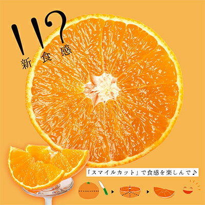 【ふるさと納税】コウ果樹園「華まどんな」3kg【D33-22】_ みかん ミカン 柑橘 マドンナ まどんな 果物 くだもの フルーツ 甘い 希少 ぷるぷる 果樹園 愛媛 ゼリーみたい デザート 愛媛みかん 密柑 美味 人気 おすすめ 送料無料 【1051536】 サムネイル2