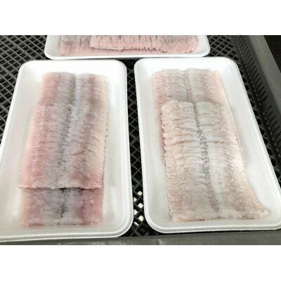 【ふるさと納税】竹中水産の八幡浜発!「骨切り鱧・600g以上」【D22-206】【配送不可地域：離島】【1052348】 サムネイル3