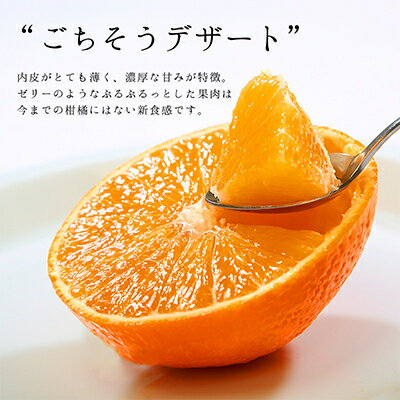 コウ果樹園の「厳選　華まどんな」3kg(4L～L　8～15玉)【E33-8】_ みかん 蜜柑 ミカン 柑橘類 柑橘 フルーツ くだもの 果物 人気 美味しい 愛媛県 八幡浜市 ふるさと 【1056129】