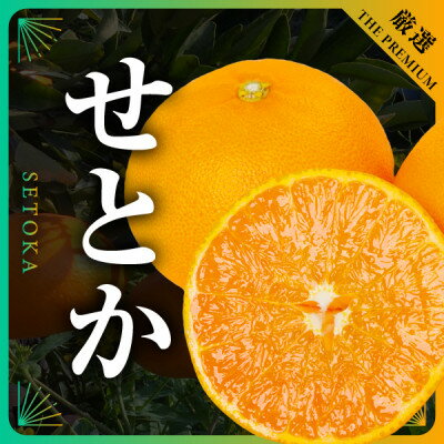 【ふるさと納税】三代目の柑橘の大トロ【せとか】2kg/3kg/4kg【配送不可地域：離島】【G1071620】